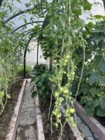 Купольная теплица, с алюминиевым профилем 5м