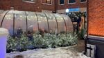 Овальная купольная беседка, 12x8м